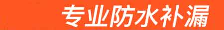 定远房屋漏水维修